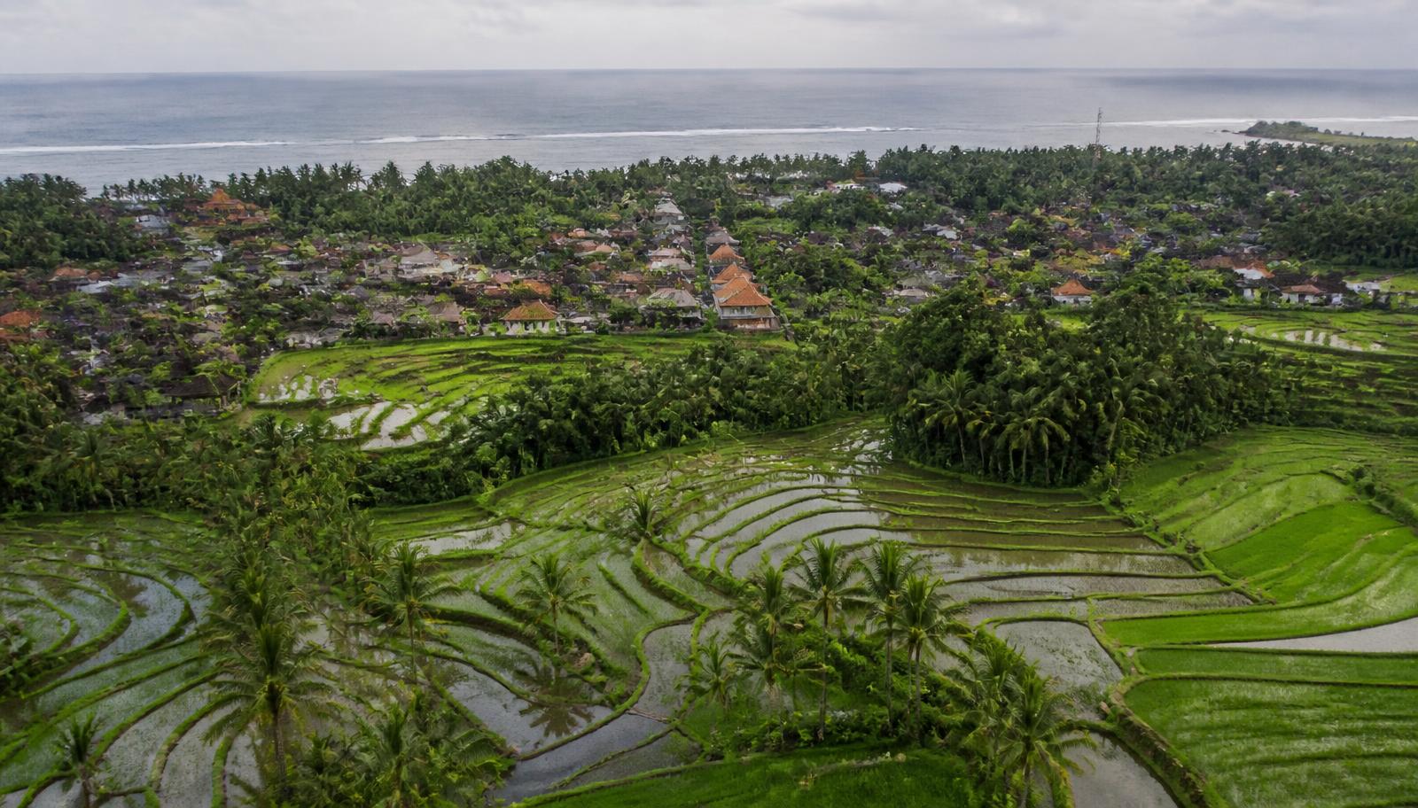Luchtfoto van Balinese rijstterrassen en een dorp aan de kust